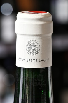 Riesling Ried Steinmassl 1 OTW - вино Рислинг Рид Штайнмассль 1 ОТВ 2021 год 0.75 л белое полусухое