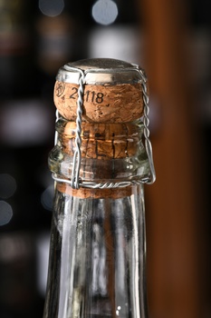 We Pet Nat Gruner Veltliner Brut - вино игристое Уи Пет Нат Грюнер Вельтлинер Брют 0.75 л белое экстра брют