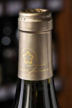 Maison Olivier Chablis Grand Cru Les Clos - вино Мэзон Оливье Шабли Гран Крю Ле Кло 0.75 л белое сухое