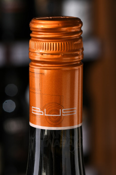 Weingut Bus Gewurztraminer - вино Вайнгут Бус Гевюрцтраминер 0.75 л белое полусухое