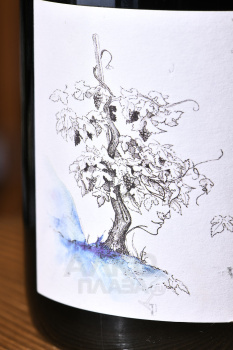 Domaine Amaury Beaufort Bourgogne Rouge Les Larmes de Divona - вино Домен Амори Бофор Бургонь Руж Ле Ларм де Дивона 0.75 л красное сухое