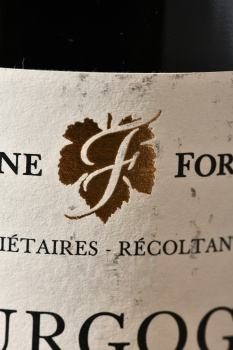 Bourgogne Domaine Forey Pere et Fils Pinot Noir - вино Бургонь Домэн Форе Пэр э Фис Пино Нуар 2020 год 0.75 л красное сухое