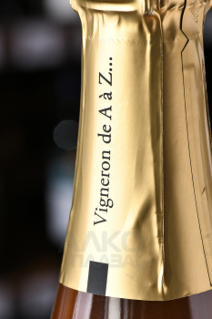 Champagne Philippe Dechelle Rose - шампанское Филипп Дешель Роз 2016 год 0.75 л брют розовое