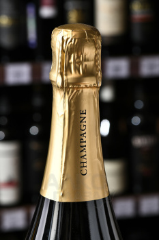 Champagne Philippe Dechelle Cuvee Nude - шампанское Филипп Дешель Кюве Нюд 2015 год 0.75 л белое экстра брют
