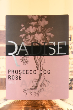 Radise Prosecco Millesimato Rose Brut - вино игристое Радизе Просекко Миллезимато Розе Брют 0.75 л розовое брют