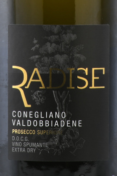 Radise Conegliano Valdobbiadene Prosecco Superiore - вино игристое Радизе Просекко Конельяно Вальдоббьядене Супериоре 0.75 л белое экстра драй