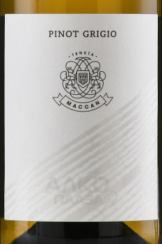 Maccan Pinot Grigio Friuli DOC - вино Маккан Пино Гриджо Фриули 0.75 л белое сухое