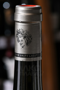 Birgit Eichinger Gruner Veltliner Gaisberg - вино Биргит Айхингер Грюнер Вельтлинер Гайзберг 0.75 л