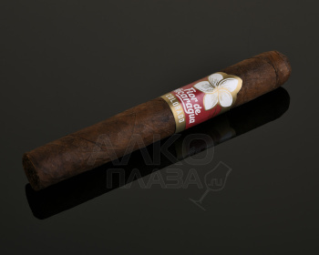 Joya de Nicaragua Flor De Nicaragua - сигары Джоя де Никарагуа Флор де Никарагуа Торо