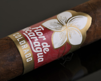 Joya de Nicaragua Flor De Nicaragua - сигары Джоя де Никарагуа Флор де Никарагуа Торо
