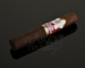Joya de Nicaragua Flor de Nicaragua Robusto - сигары Джоя де Никарагуа Флор де Никарагуа Робусто