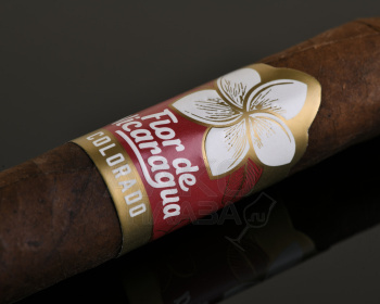 Joya de Nicaragua Flor de Nicaragua Robusto - сигары Джоя де Никарагуа Флор де Никарагуа Робусто