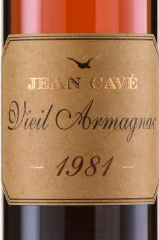 Jean Cave Vieil Armagnac - арманьяк Жан Каве Вьей 1981 год 0.7 л в д/у