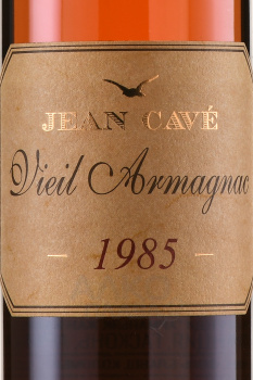 Jean Cave Vieil Armagnac - арманьяк Жан Каве Вьей 1985 год 0.7 л в д/у