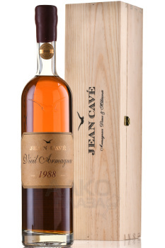 Jean Cave Vieil Armagnac - арманьяк Жан Каве Вьей 1988 год 0.7 л в д/у