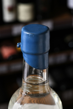 El Jolgorio Tepeztate Mezcal - мескаль Эль Холгорио Тепезтате 0.5 л