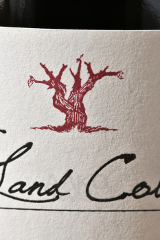 The Dry Land Collection Courageous Barrel Fermented Chenin Blanc - вино Драй Лэнд Коллекшн Корейджес Баррель Ферментед Шенен Блан 0.75 л белое сухое