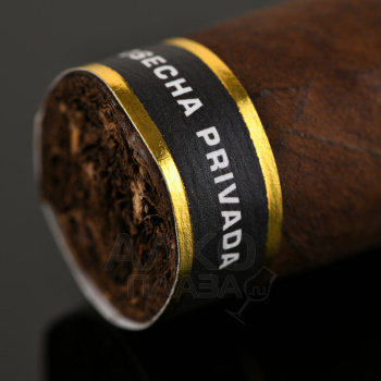 Plasencia Cosecha 151 La Musica Robusto - сигары Плаценсия Косеча 151 Ла Музика Робусто