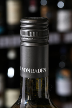 Winzer von Baden Kraichgauer Riesling - вино Винцер фон Баден Рислинг 0.75 л белое полусухое