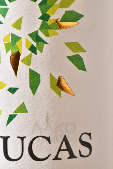 Toucas Vinho Verde DOC - вино Токаш ДОК Виньо Верде 0.75 л белое полусухое