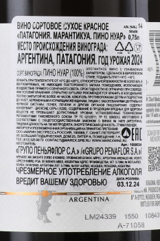 Patagonia Marantiqua Pinot Noir - сухое вино Патагония Марантикуа Пино Нуар 0.75 л