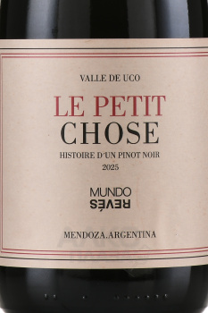 Mundo Reves Le Petit Chose Pinot Noir - вино Мундо Ревес Ле Пти Шоз Пино Нуар 0.75 л красное сухое