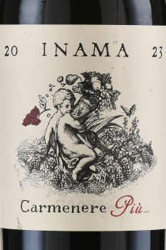 Inama Carmenere Piu Veneto IGT - вино Инама Карменер Пью Венето 0.75 л красное сухое