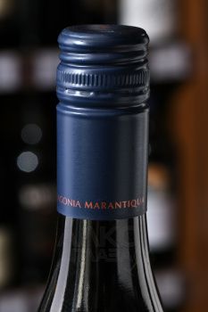 Malbec Marantiqua Patagonia - вино Патагония Марантикуа Мальбек сухое 0.75 л