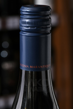 Patagonia Marantiqua Pinot Noir - сухое вино Патагония Марантикуа Пино Нуар 0.75 л