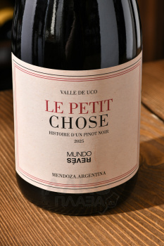 Mundo Reves Le Petit Chose Pinot Noir - вино Мундо Ревес Ле Пти Шоз Пино Нуар 0.75 л красное сухое
