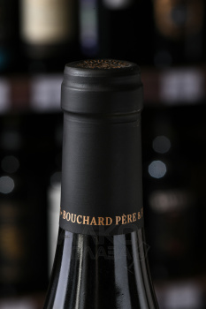 Bouchard Pere Fils Clos Vougeot Grand Cru - вино Бушар Пэр э Фис Кло Вужо Гран Крю 0.75 л красное сухое