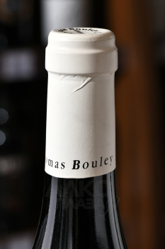 Pommard Premier Cru Les Rugiens - вино Поммар Премье Крю Ле Рюжьен 0.75 л красное сухое