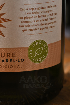 Cava Raimat Brut Nature Chardonnay Xarello - игристое вино Кава Раймат Брют Натюр Шардоне Шарелло 0.75 л