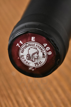 Le Vinoble de Saint-Germain Bourgogne Aligote - вино Бургонь Лё Виньобль де Сен-Жермен Алиготе 0.75 л белое сухое