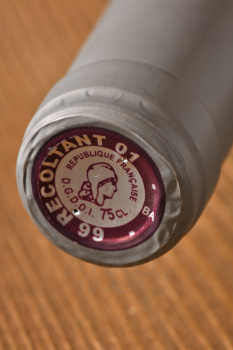Domaine Danjou-Banessy Roboul Cotes Catalanes IGP - вино Домен Данжу-Банесси Робул 0.75 л красное сухое