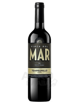 Vicente Gandia Finca del Mar Tempranillo Crianza - вино Утиель-Рекена Висенте Гандия Финка дель Мар Темпранильо Крианса сухое 3 л