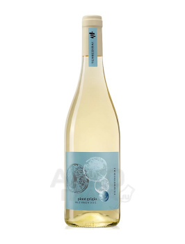 Terre di Rai Pinot Grigio delle Venezie DOC - вино Терре ди Рай Пино Гриджио делле Венецие 0.75 л белое сухое
