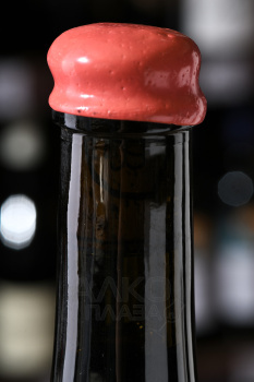 Coteaux Champenois Brocard Pierre Wild Wild Yeast - вино Кото Шампенуа Брокар Пьер Уайлд Уайлд Йист 0.75 л красное сухое