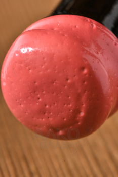 Coteaux Champenois Brocard Pierre Wild Wild Yeast - вино Кото Шампенуа Брокар Пьер Уайлд Уайлд Йист 0.75 л красное сухое