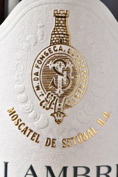 Alambre Moscatel de Stubal 20 years - вино крепленое Аламбре Мушкатель де Сетубал 20 лет 0.5 л белое сладкое в п/у