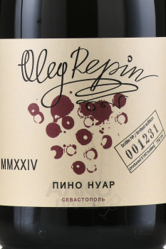 Вино Пино Нуар ТЗ Репин Олег 0.75 л красное сухое