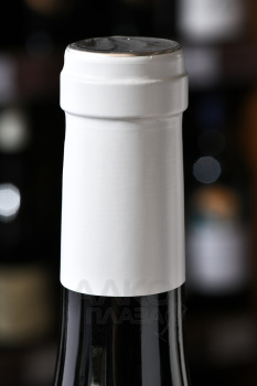 Oleg Repin Syrah - вино Сира ТЗ Репин Олег 0.75 л красное сухое