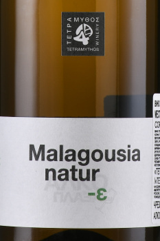 Tetramythos Malagousia Natur - вино Тетрамитос Малагузия Натур 0.75 л белое сухое