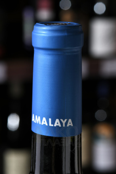 Amalaya Red - вино Амалайа 0.75 л красное сухое