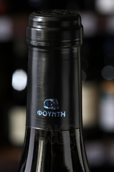Foundi Xinomavro Blanc de Noir Imathia - вино Фунди Ксиномавро Блан де Нуар Иматия 0.75 л белое сухое