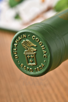 Delamain Folio Natura Grande Champagne Cognac - коньяк Делямэн Фолио Натура Гранд Шампань 0.7 л в п/у