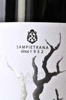 Cantina Sampietrana Sessantenario Malvasia Salento - вино Сампиетрана Сессантенарио Мальвазия Саленто 0.75 л красное сухое