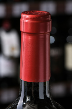 Carniceria Malbec - вино Карнисерия Мальбек 0.75 л красное сухое