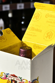 Cardenal Mendoza Solera Gran Reserva - Бренди де Херес Карденал Мендоза 0.7 л