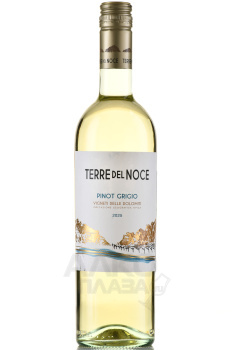 Mezzacorona Terre del Noce Pinot Grigio - вино Терре дель Ноче Пино Гриджио 0.75 л белое сухое
